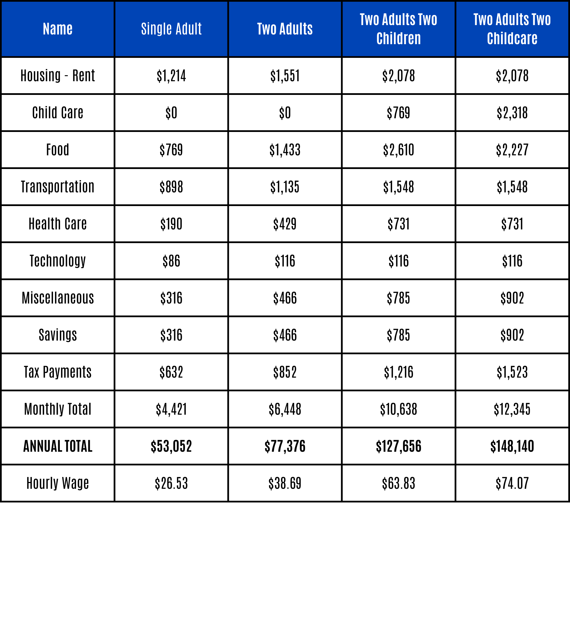 York County ALICE Stability Budget 2023