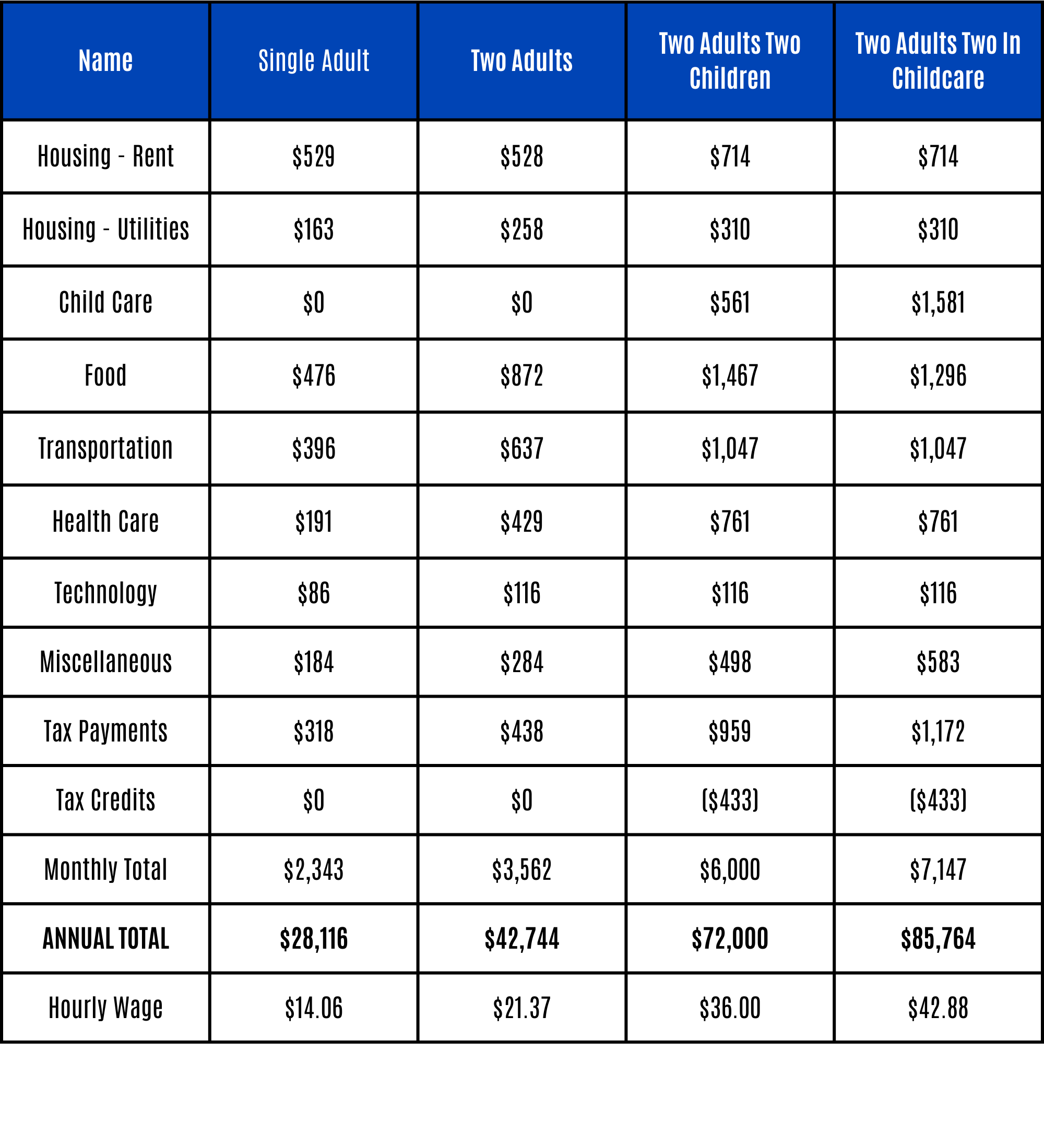 York County ALICE Survival Budget