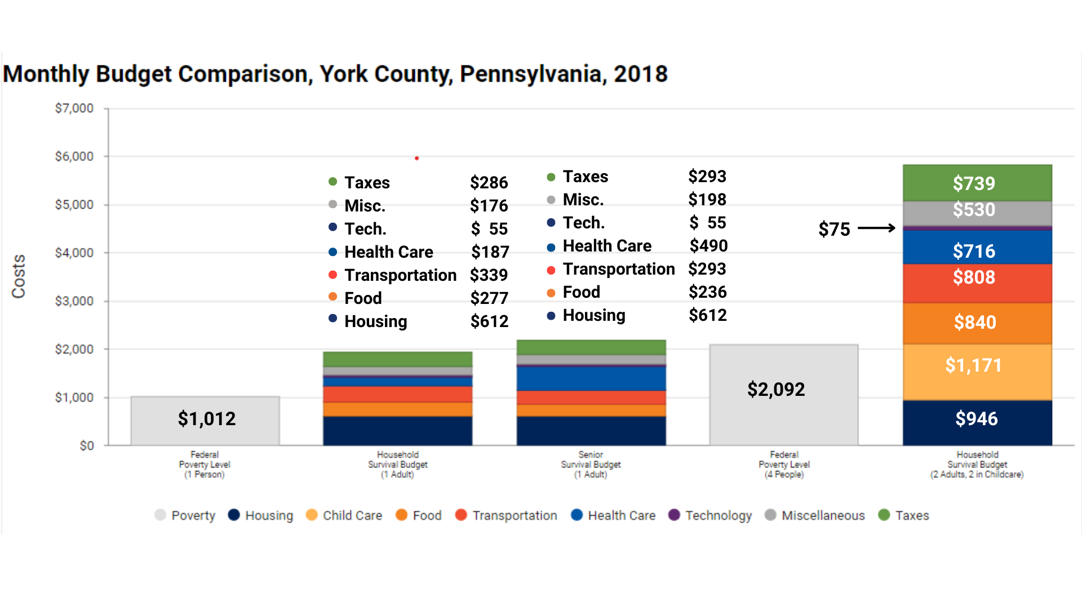 Monthly survival budget for York County